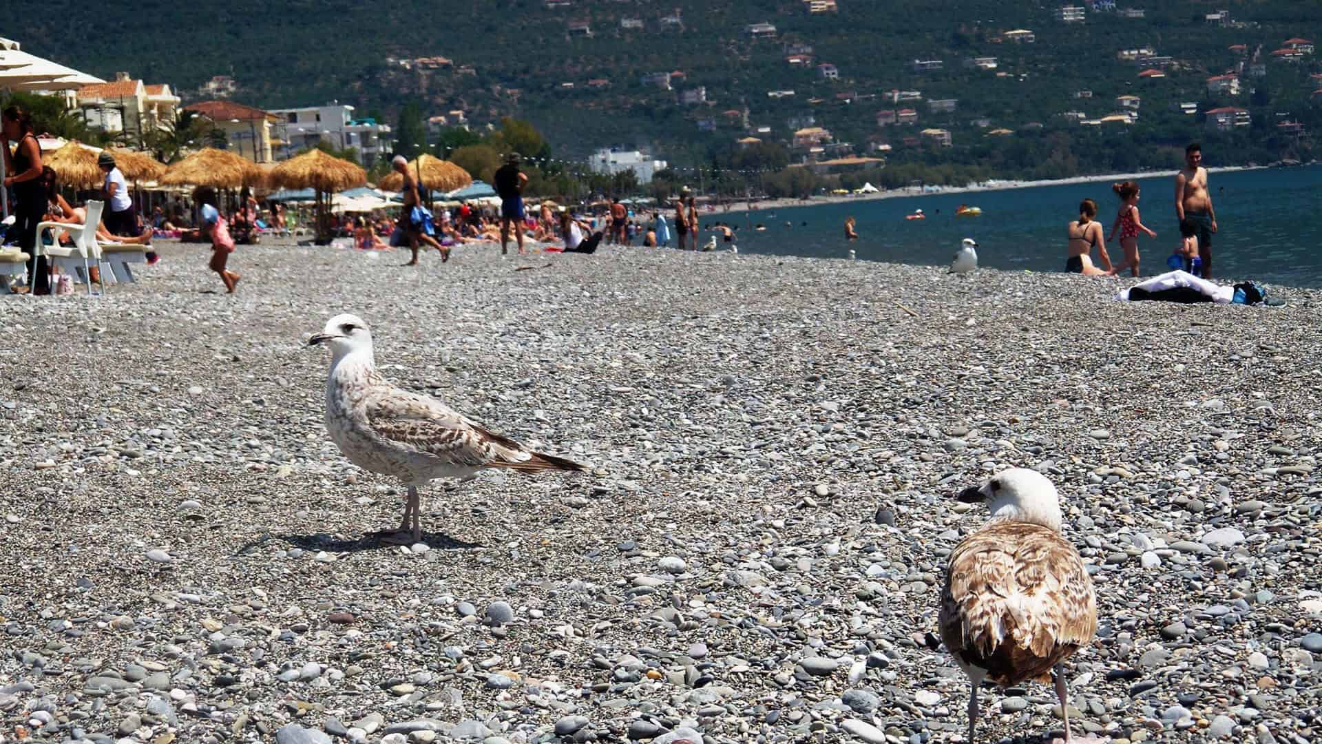 Παραλια